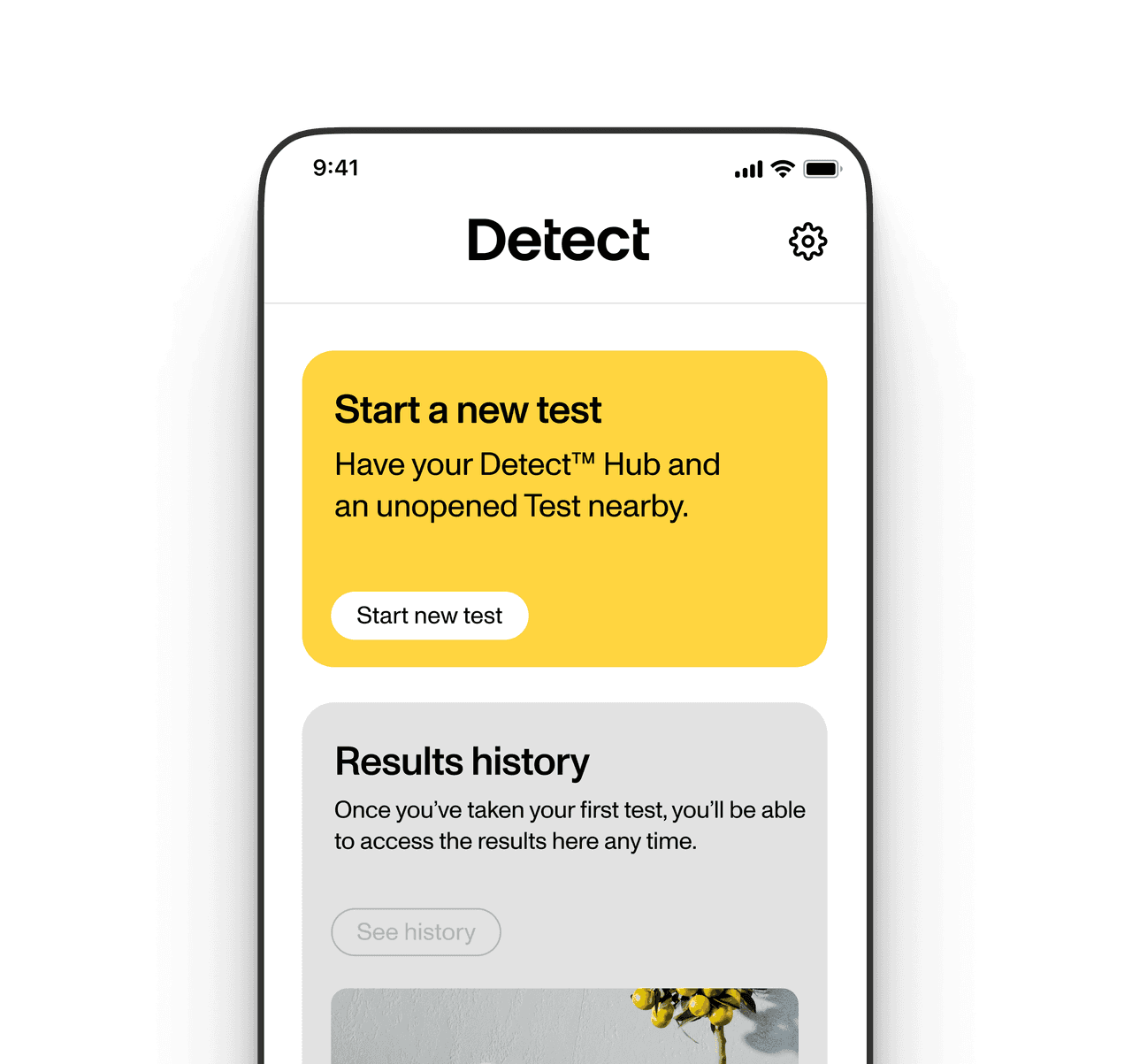 Detect App - Start Testing